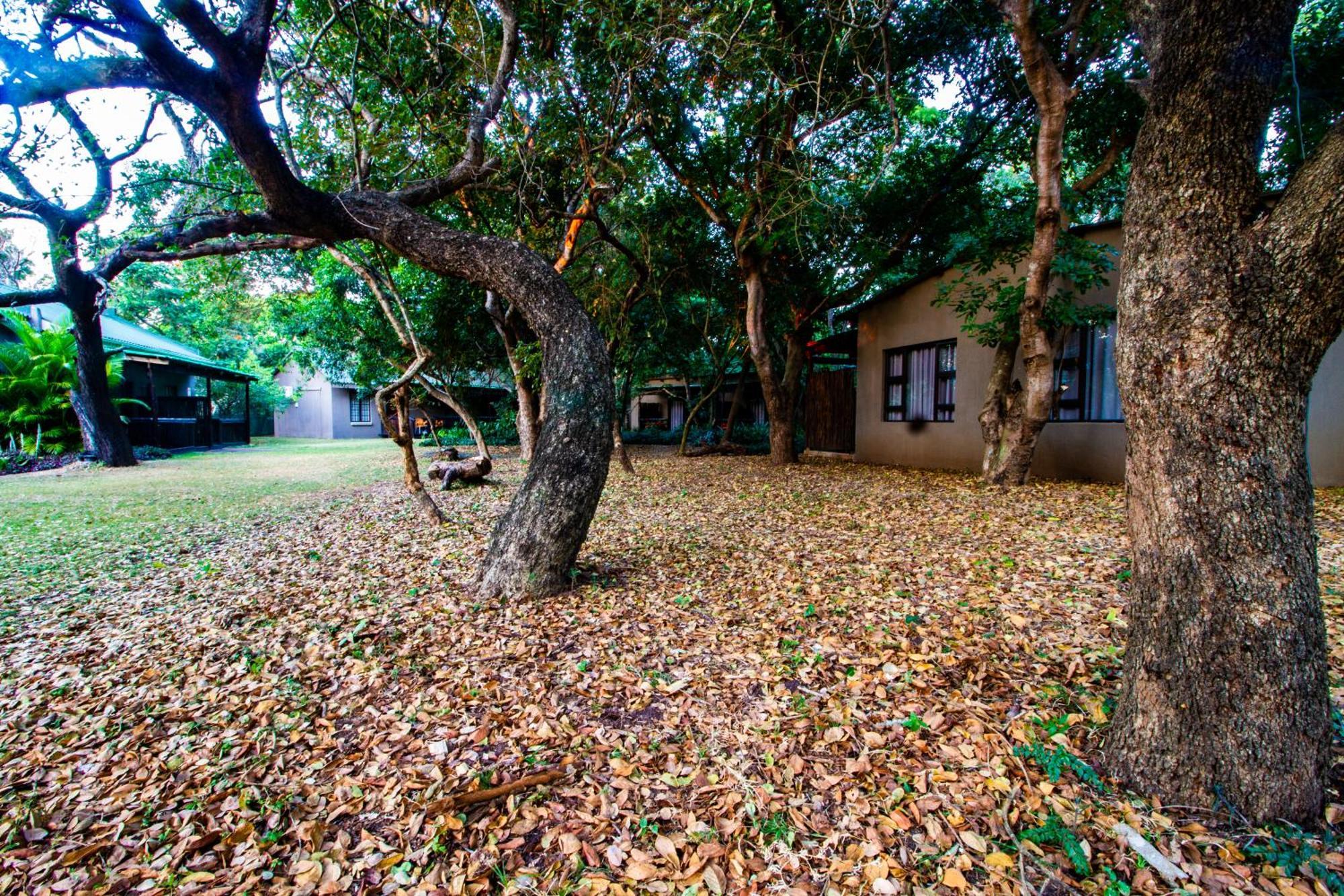 Emdoneni Lodge With Zululand Cat Conservation Project ฮลูฮลูเว ภายนอก รูปภาพ
