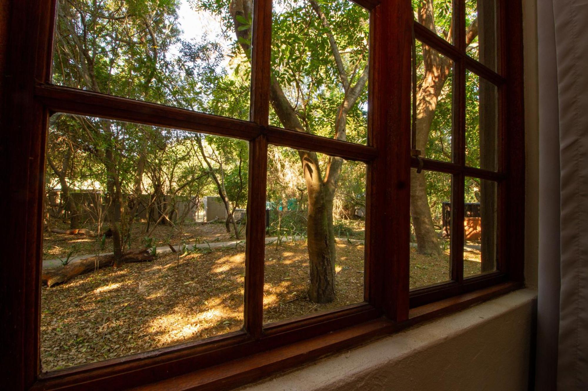 Emdoneni Lodge With Zululand Cat Conservation Project ฮลูฮลูเว ภายนอก รูปภาพ