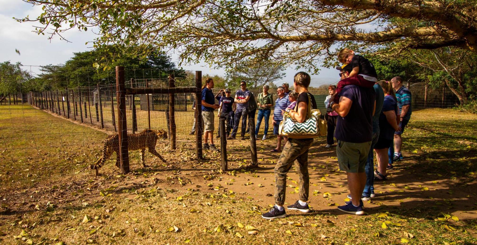 Emdoneni Lodge With Zululand Cat Conservation Project ฮลูฮลูเว ภายนอก รูปภาพ