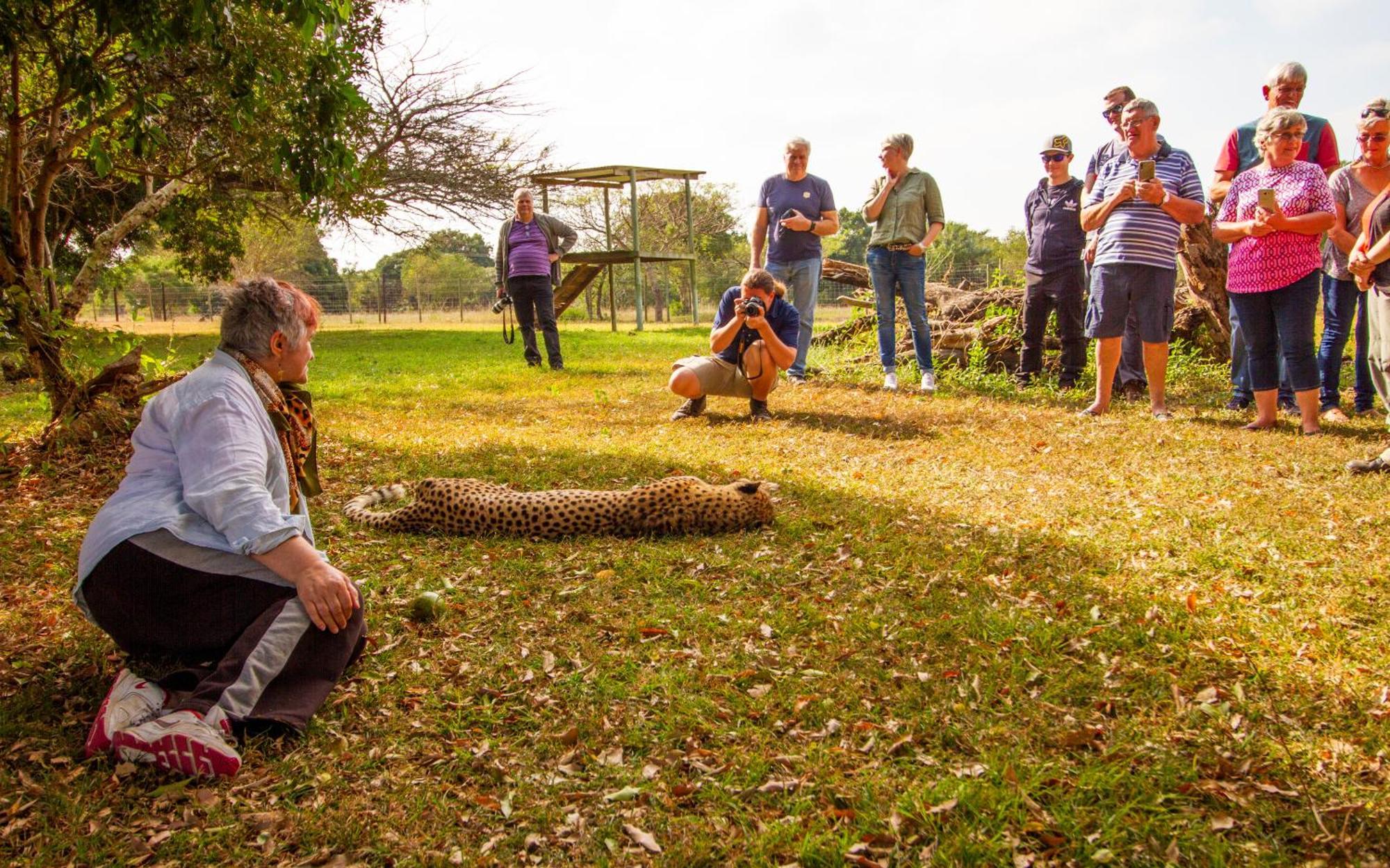 Emdoneni Lodge With Zululand Cat Conservation Project ฮลูฮลูเว ภายนอก รูปภาพ