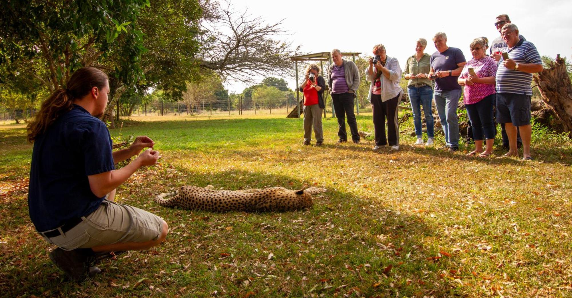 Emdoneni Lodge With Zululand Cat Conservation Project ฮลูฮลูเว ภายนอก รูปภาพ